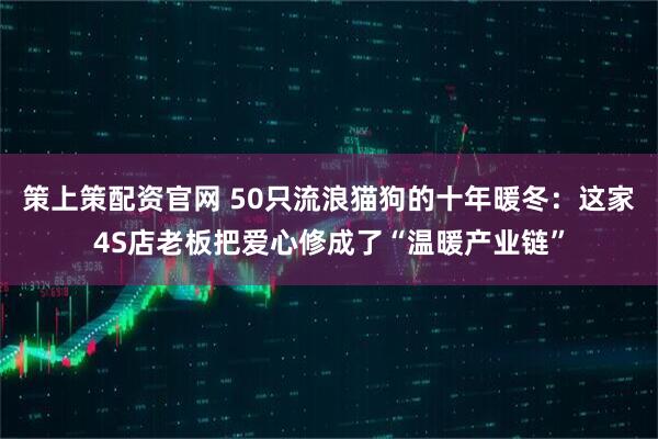 策上策配资官网 50只流浪猫狗的十年暖冬：这家4S店老板把爱心修成了“温暖产业链”