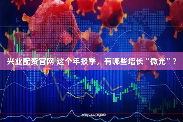 兴业配资官网 这个年报季，有哪些增长“微光”？