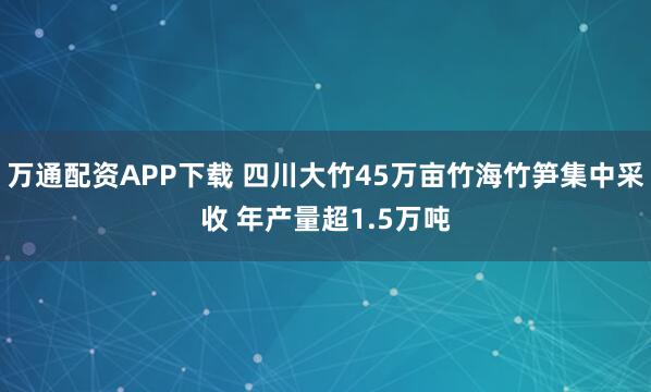 万通配资APP下载 四川大竹45万亩竹海竹笋集中采收 年产量超1.5万吨